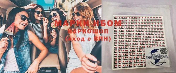 соль ск Новозыбков