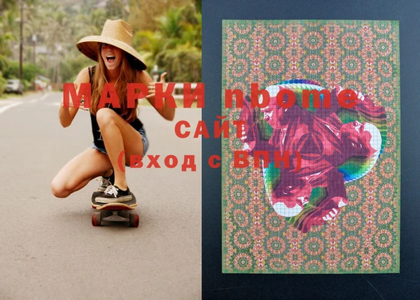 соль ск Новозыбков