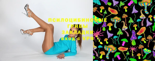 соль ск Новозыбков